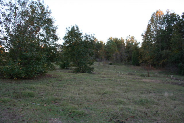 2240 Reese Jones Road Thomson, GA 30824 - Photo 1 of 1 Main View