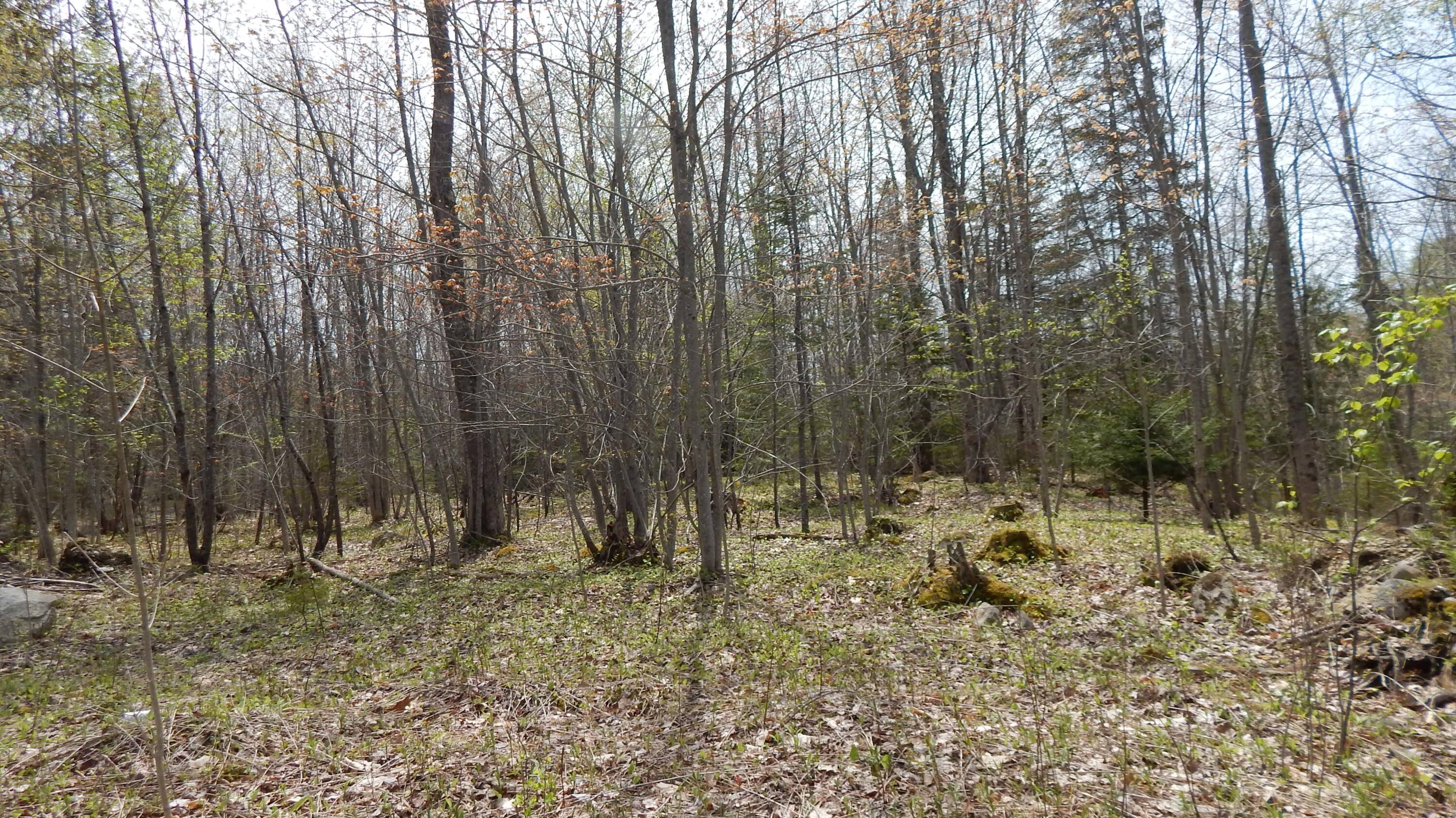 0 Ashville Road Sullivan, ME 04664 - Photo 13 of 42 DSCN7749