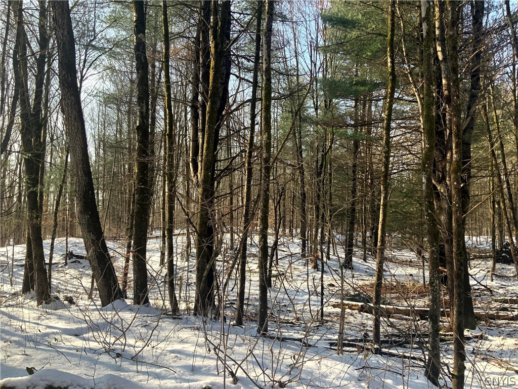 0 Salsbury Road Camden, NY 13316 - Photo 31 of 42 Gallery Image 31