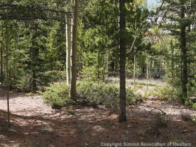 346 Pcr 665 Road Fairplay, CO 80440 - Photo 22 of 25 Land.