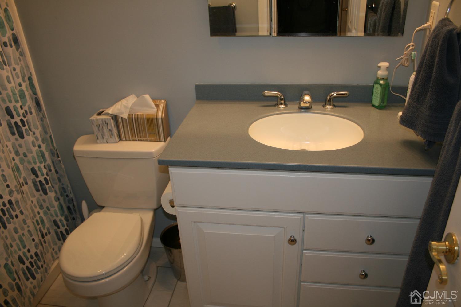 5 Albemarle Road East Brunswick, NJ 08816 - Photo 45 of 68 Gallery Image 45