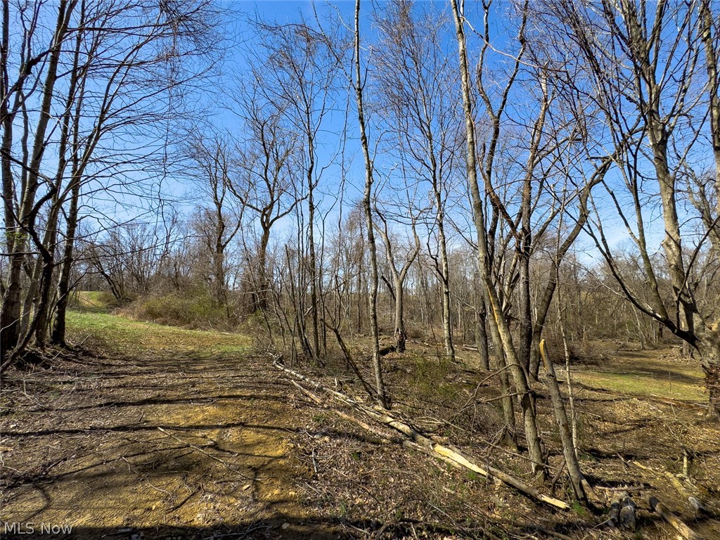 0 Lonesome Road Thornville, OH 43076 - Photo 24 of 31