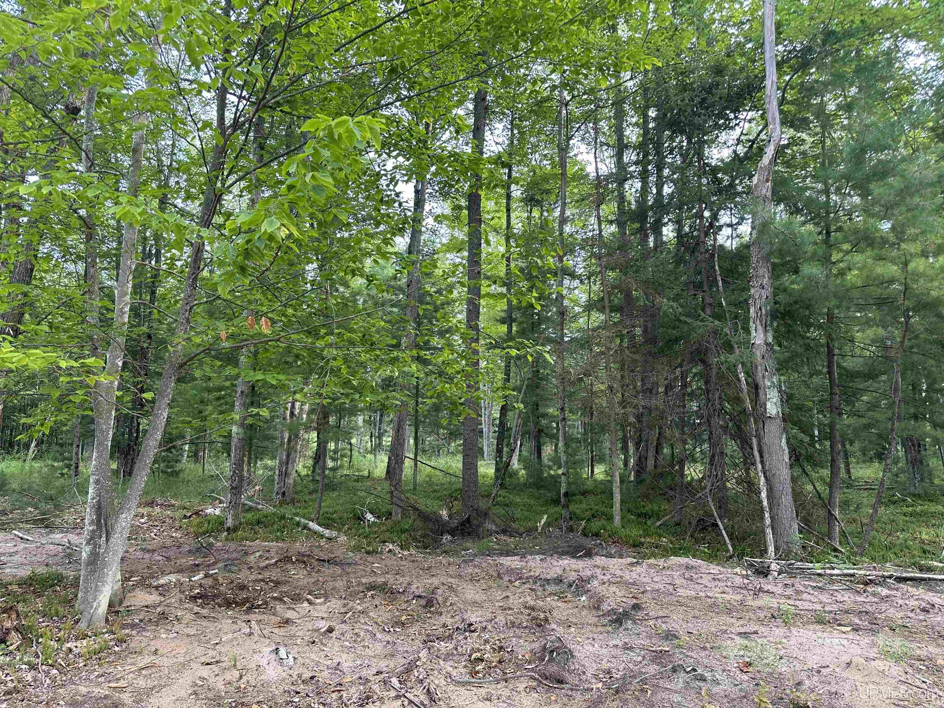 Tbd Tbd Old State South Parcel L Road Escanaba, MI 49829 - Photo 4 of 4