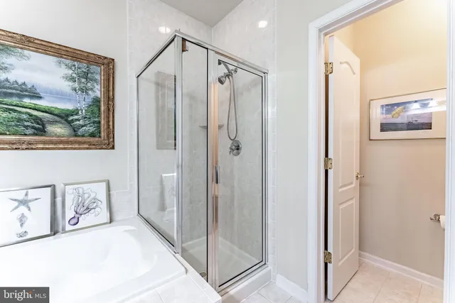 a bathroom with a shower and a view of bathroom