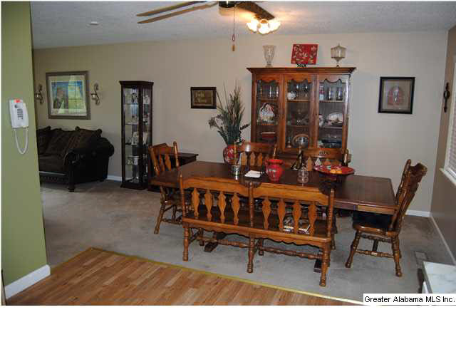 932 Graham Lane Mount Olive, AL 35117 - Photo 5 of 22