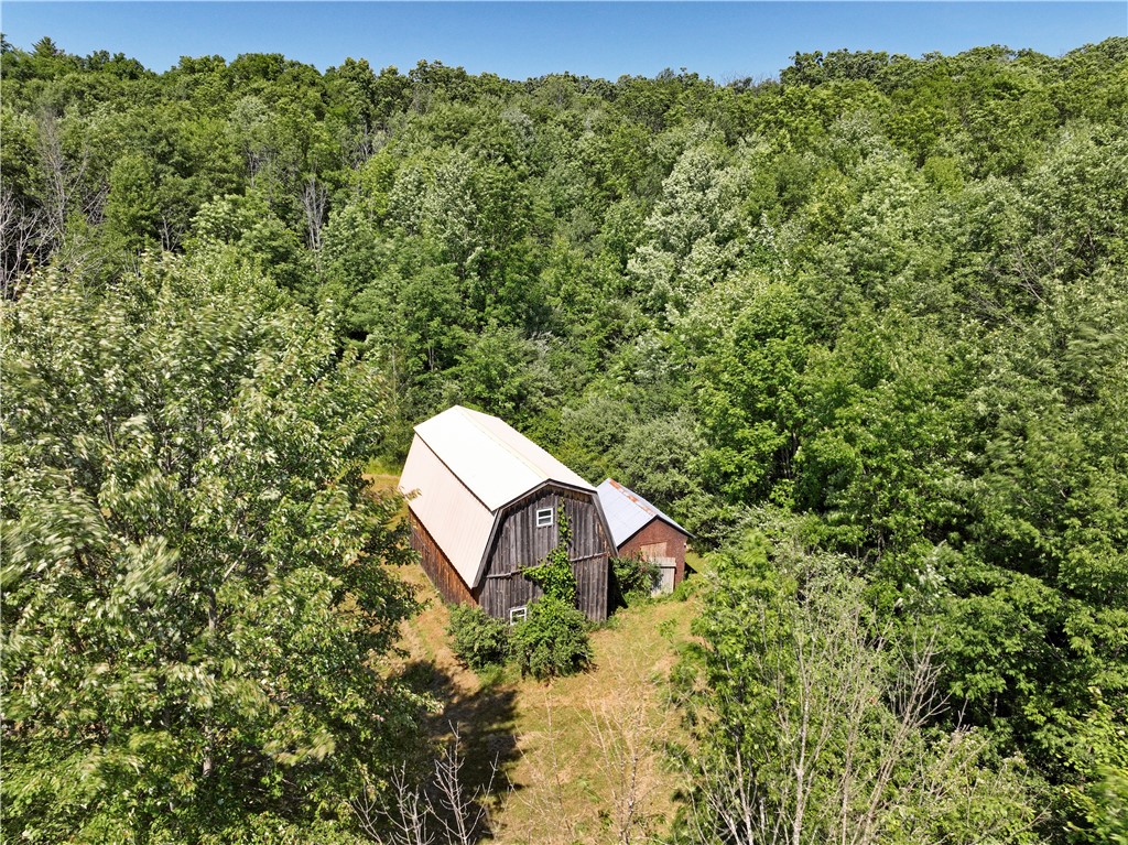 3390 Beeman Hollow Road Erwin, NY 14801 - Photo 5 of 40