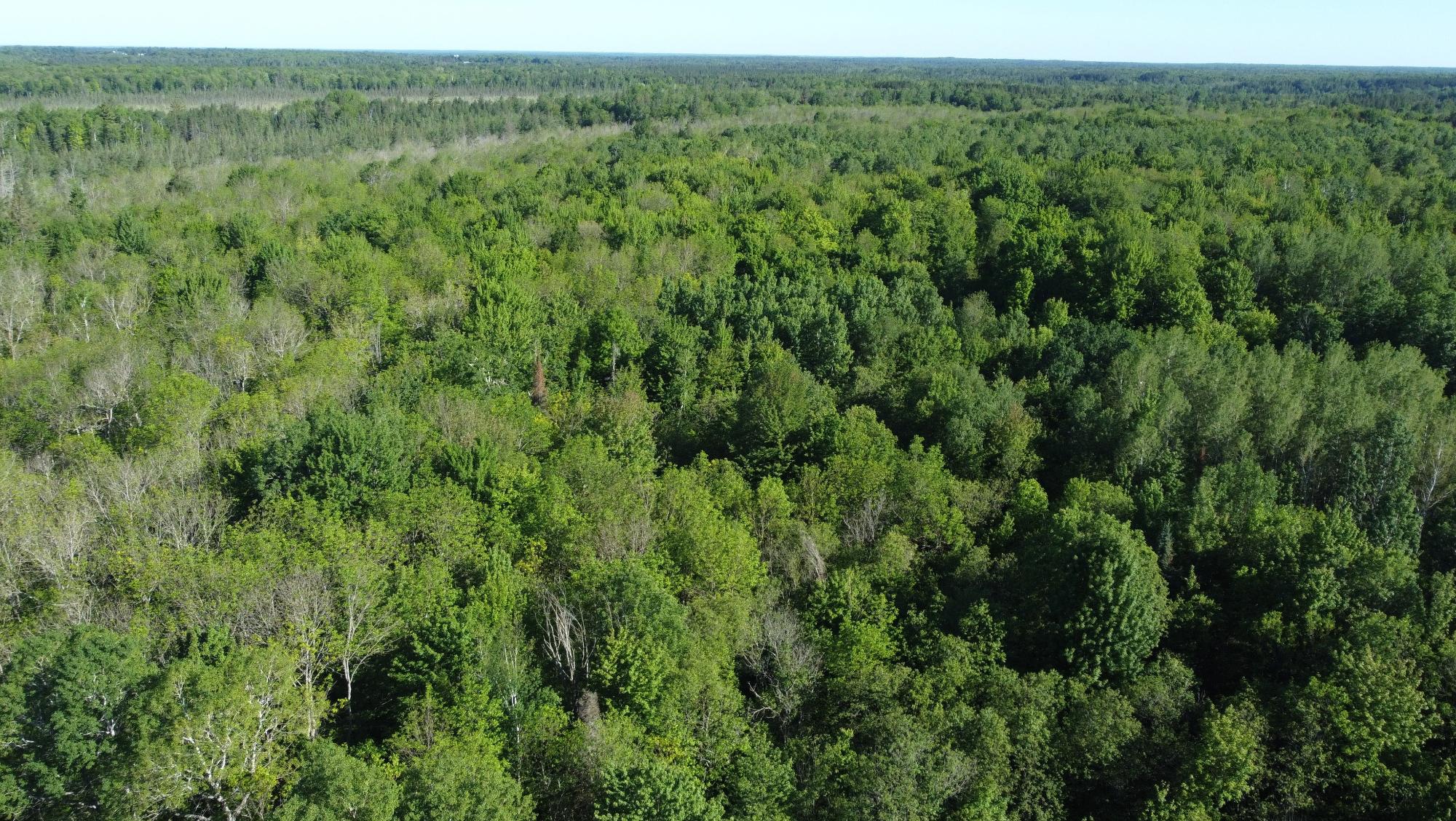 N7295 East Dover Road Phillips, WI 54555 - Photo 20 of 35 Gallery Image 20