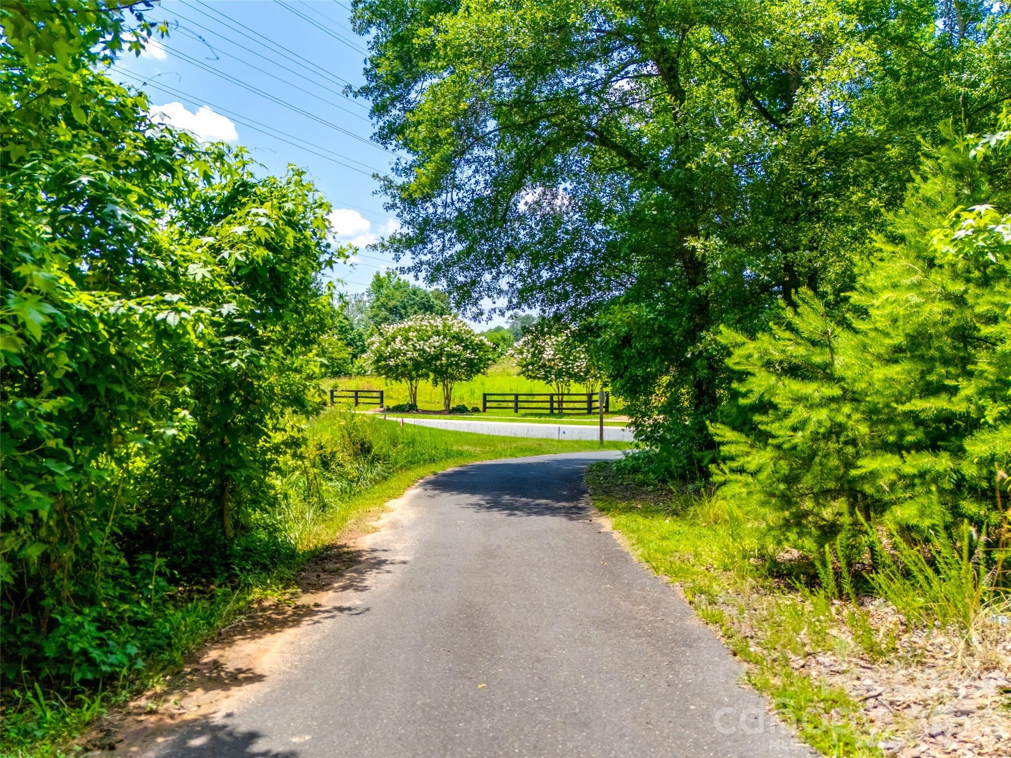 2316 Celandine Way Fort Mill, SC 29708 - Photo 38 of 38
