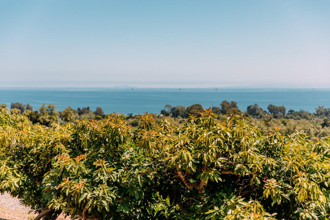 3040 Foothill Road Carpinteria, CA 93013 - Photo 11 of 14