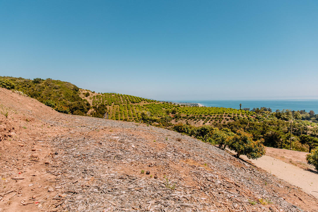 3040 Foothill Road Carpinteria, CA 93013 - Photo 12 of 14