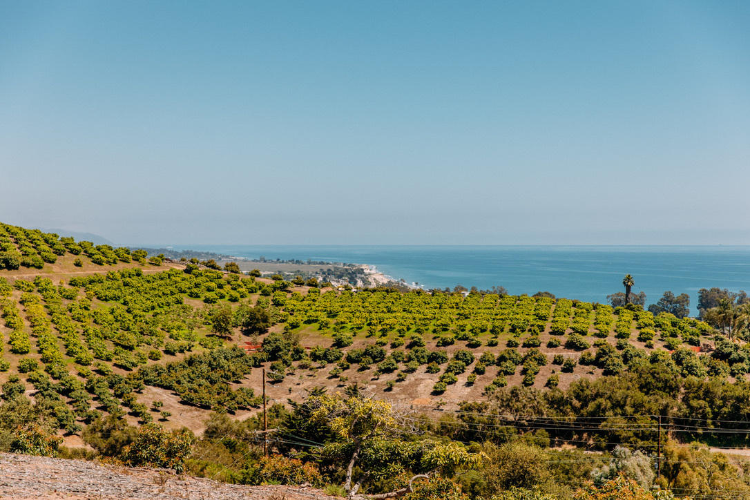 3040 Foothill Road Carpinteria, CA 93013 - Photo 5 of 14 a view of a large window
