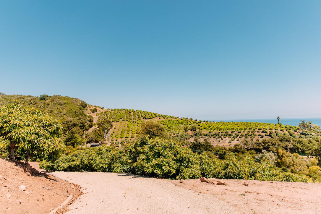 3040 Foothill Road Carpinteria, CA 93013 - Photo 8 of 14 a view of a large yard