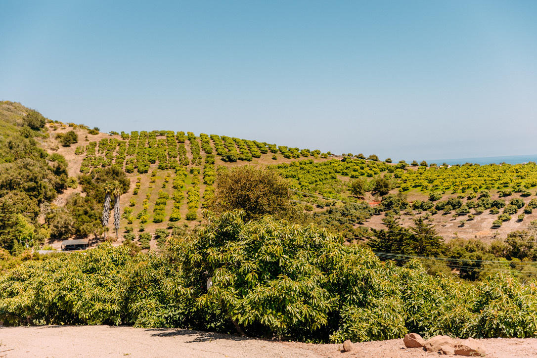 3040 Foothill Road Carpinteria, CA 93013 - Photo 9 of 14