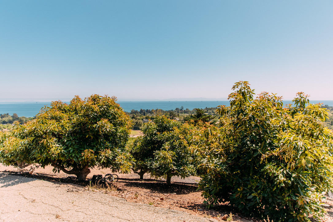 3040 Foothill Road Carpinteria, CA 93013 - Photo 10 of 14