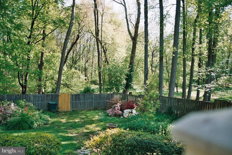 1813 Chapel Hill Road Silver Spring, MD 20906 - Photo 18 of 20 Fenced backyard with trees
