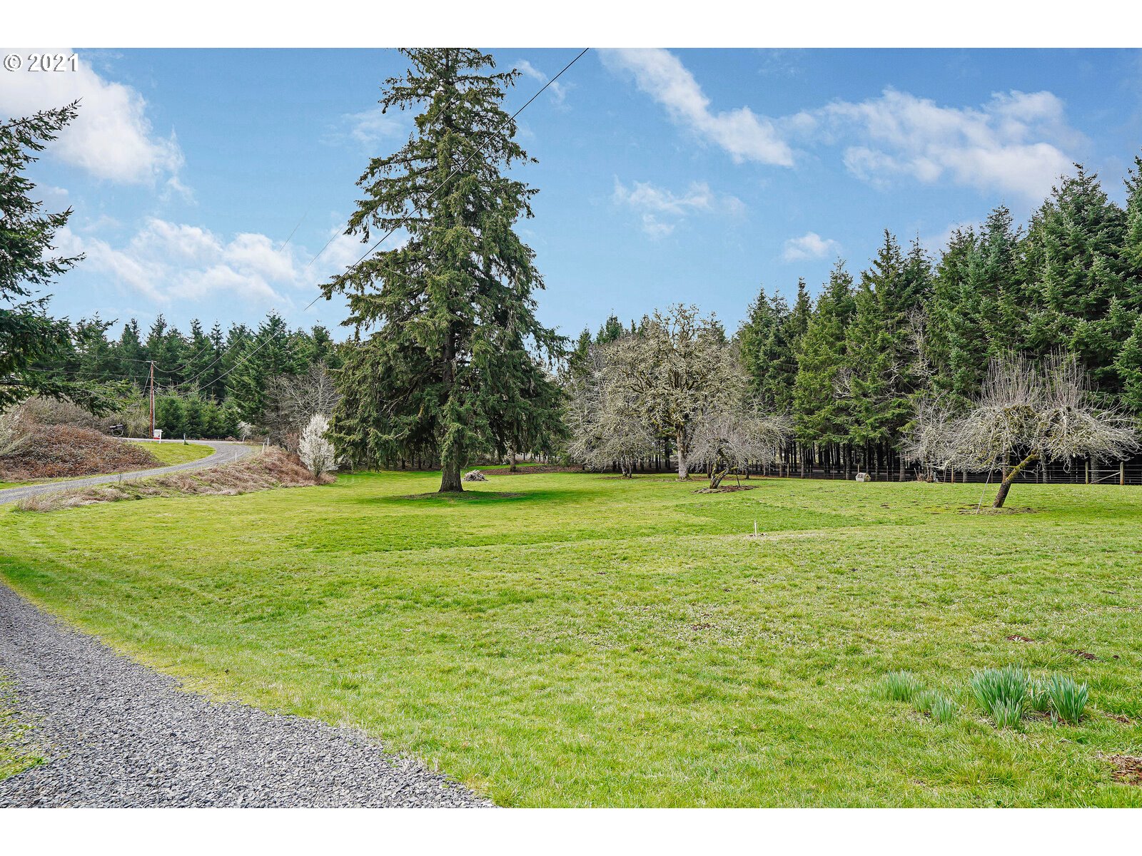 28524 Ridgeway Road Sweet Home, OR 97386 - Photo 30 of 32 Gallery Image 30