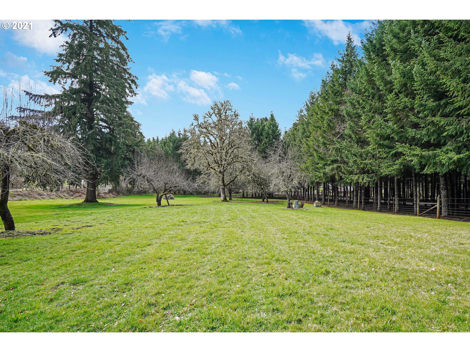28524 Ridgeway Road Sweet Home, OR 97386 - Photo 31 of 32 Gallery Image 31