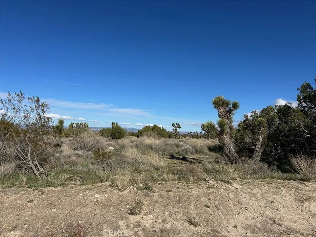 a view of a dry space with a mountain in the background