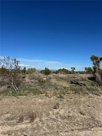 a view of a yard with a mountain
