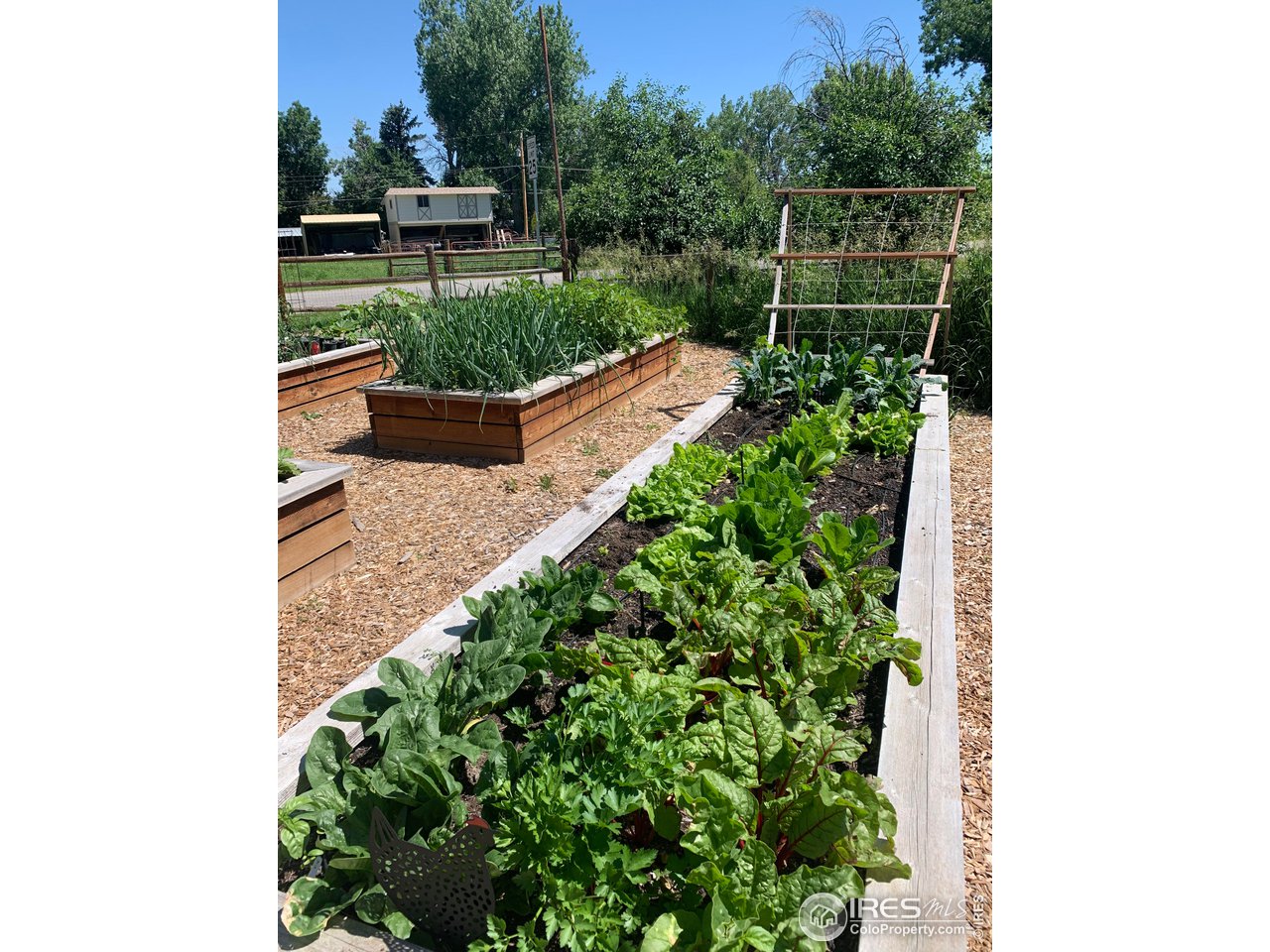 1038 Cherryvale Road Boulder, CO 80303 - Photo 36 of 40 Garden
