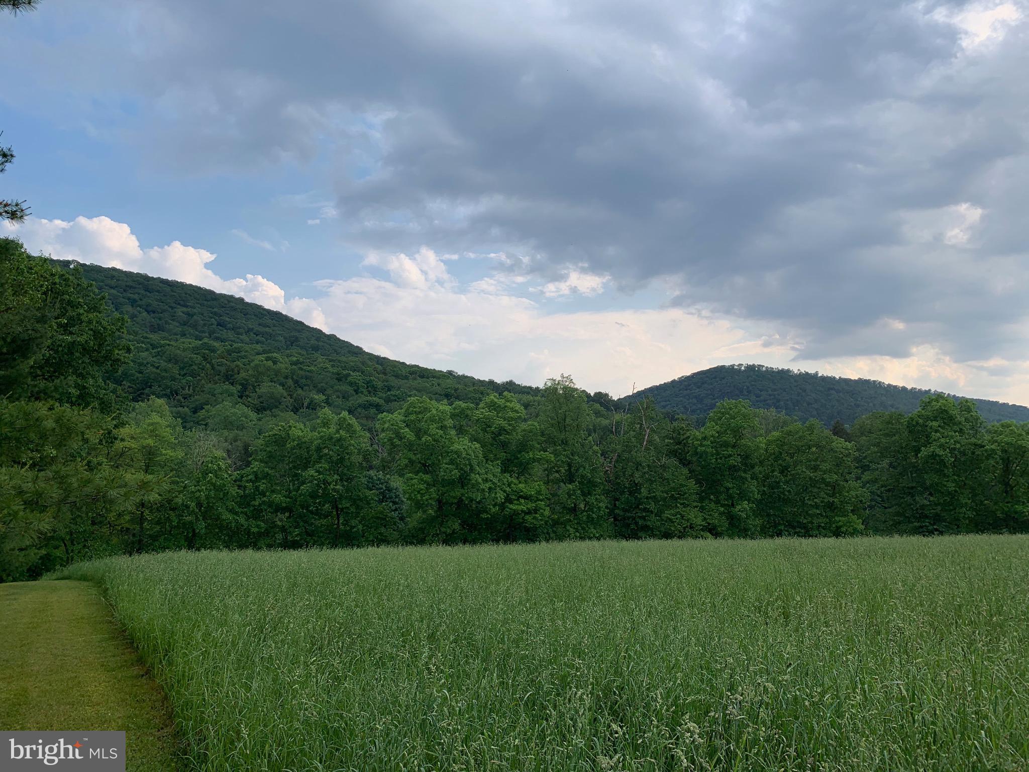 1643 Ridge Road Klingerstown, PA 17941 - Photo 69 of 73 Gallery Image 69