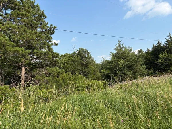 $105,000 | 32-xxx 67th Ave Way, Cannon Falls, MN 55009