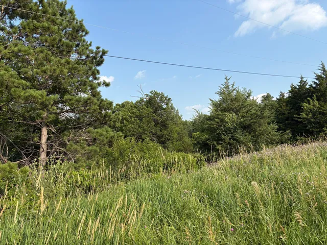 $105,000 | 32-xxx 67th Ave Way, Cannon Falls, MN 55009