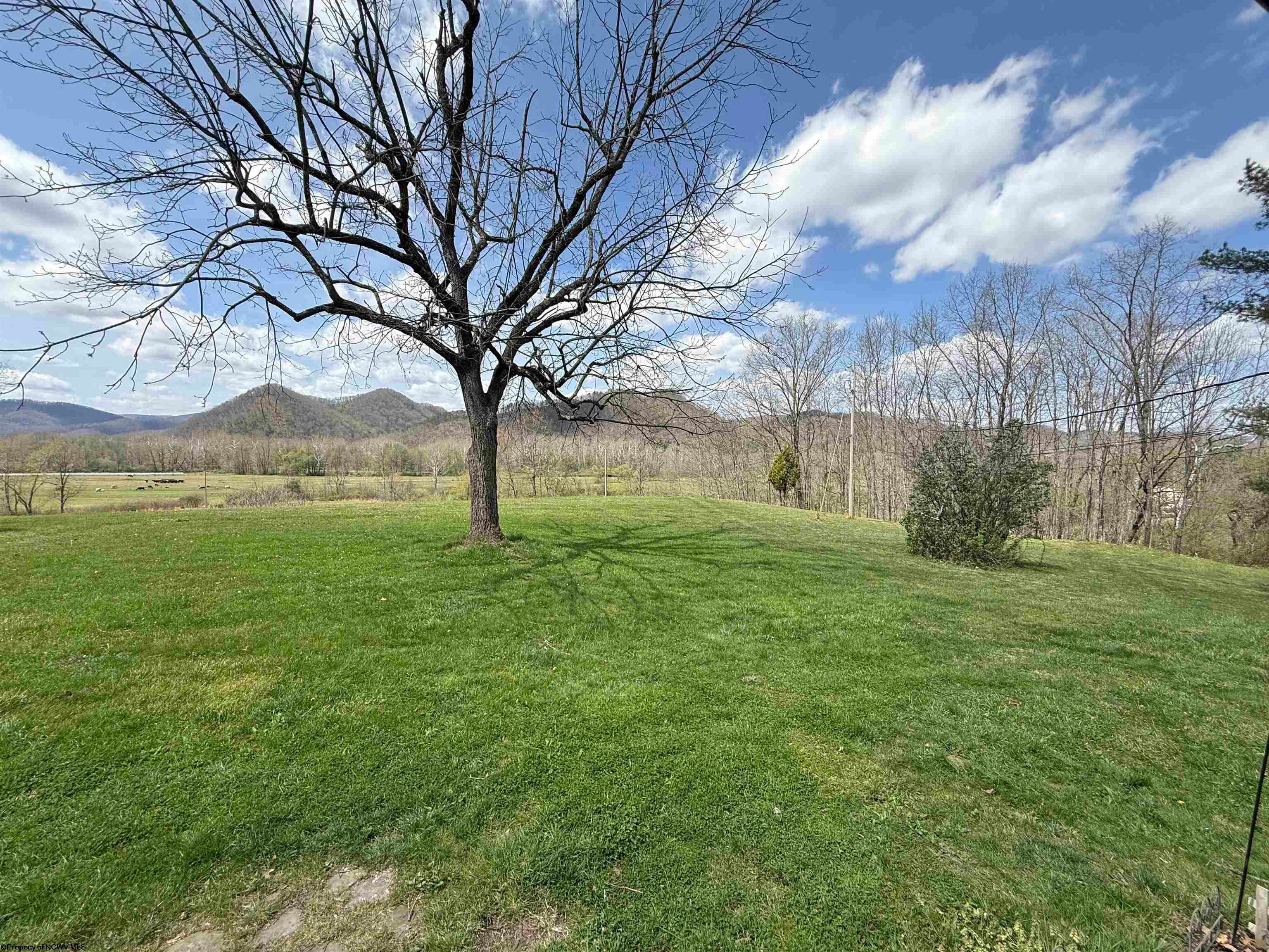 1174 Bell Crouch Road Huttonsville, WV 26273 - Photo 30 of 32 Gallery Image 30