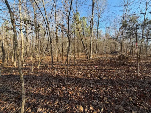 $123,690 | 0 Hatley Road, Lyles, TN 37098