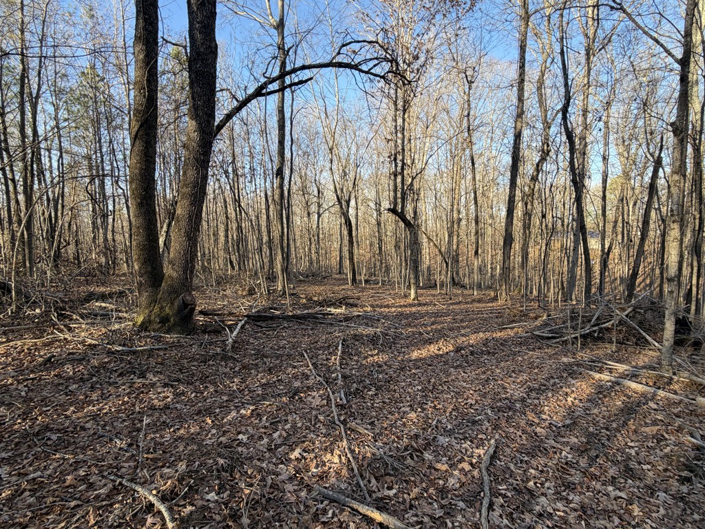 0 Hatley Road Lyles, TN 37098 - Photo 11 of 12