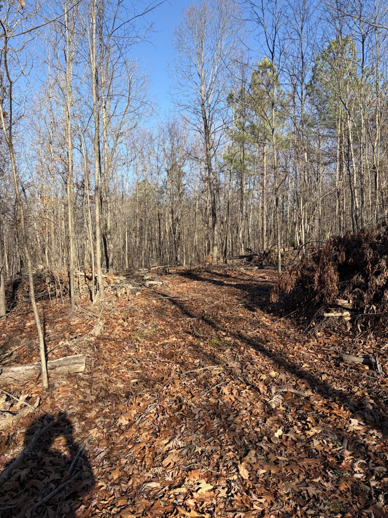 0 Hatley Road Lyles, TN 37098 - Photo 2 of 12