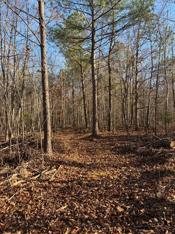 $135,000 | 0 Hatley Road, Lyles, TN 37098