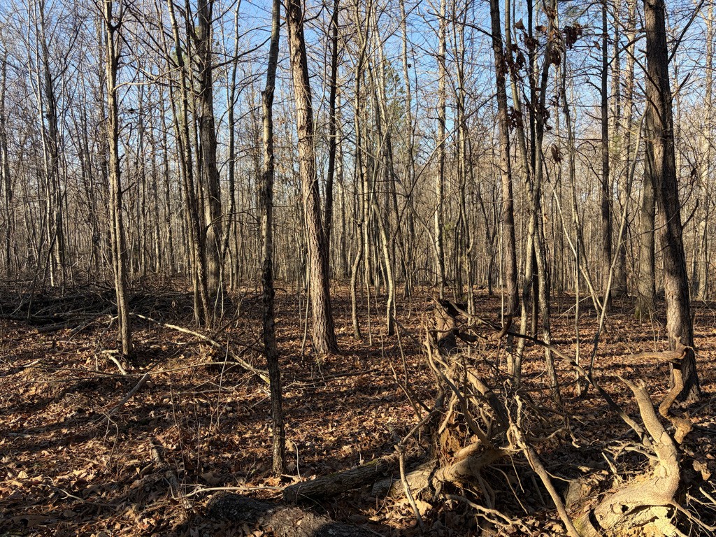 0 Hatley Road Lyles, TN 37098 - Photo 4 of 12