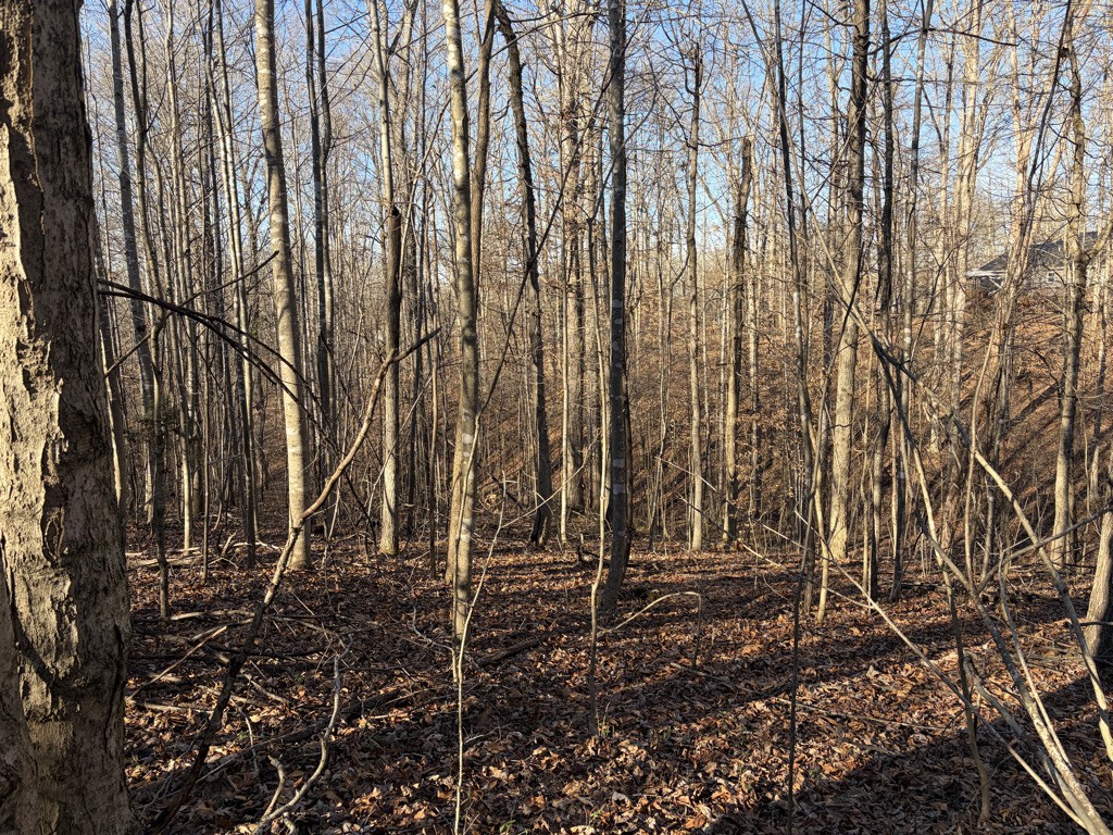 0 Hatley Road Lyles, TN 37098 - Photo 5 of 12