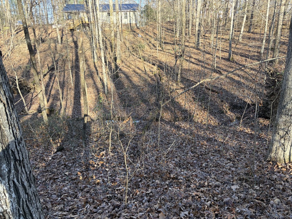 0 Hatley Road Lyles, TN 37098 - Photo 6 of 12