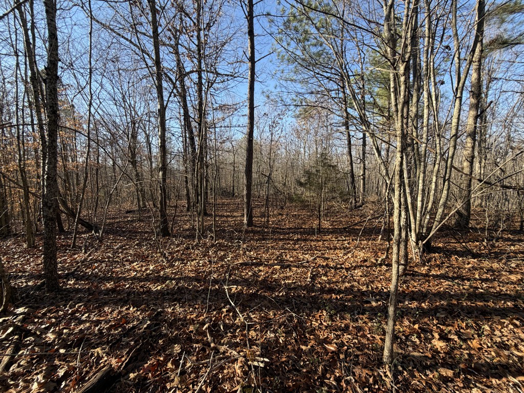 0 Hatley Road Lyles, TN 37098 - Photo 7 of 12