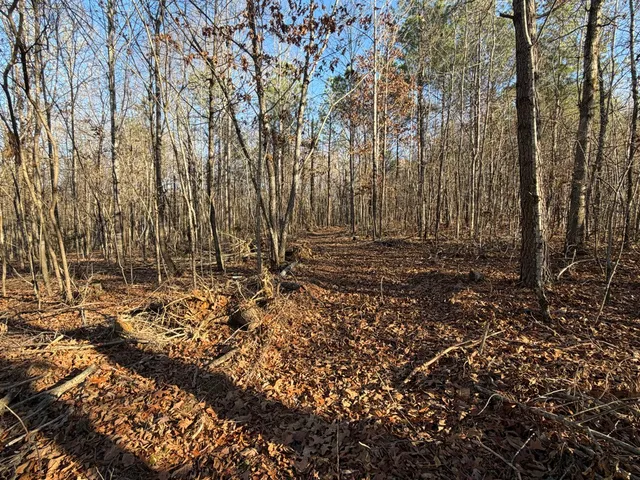 $135,000 | 0 Hatley Road, Lyles, TN 37098