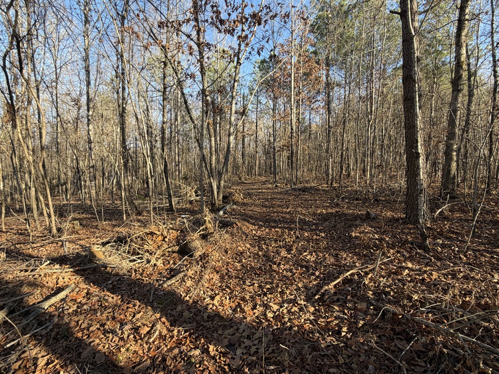 0 Hatley Road Lyles, TN 37098 - Photo 9 of 12