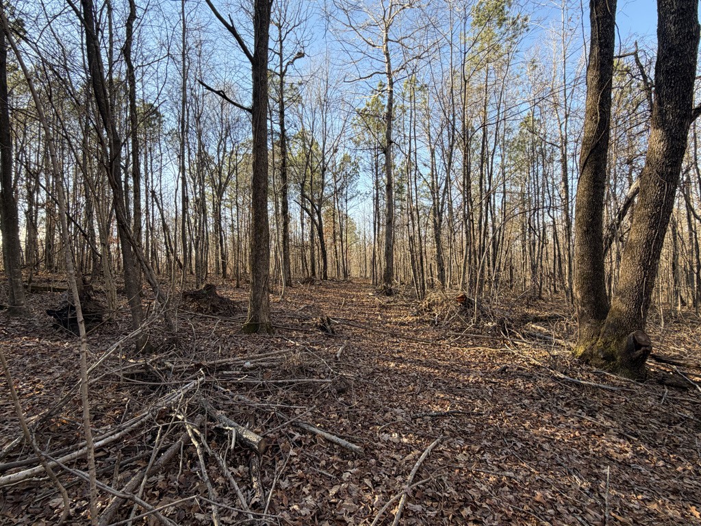 0 Hatley Road Lyles, TN 37098 - Photo 10 of 12