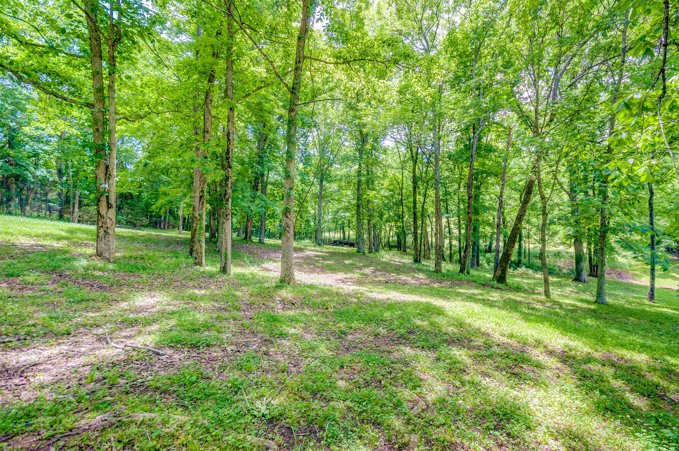 3520 Cecil Farm Road Mount Pleasant, TN 38474 - Photo 17 of 24 Gallery Image 17