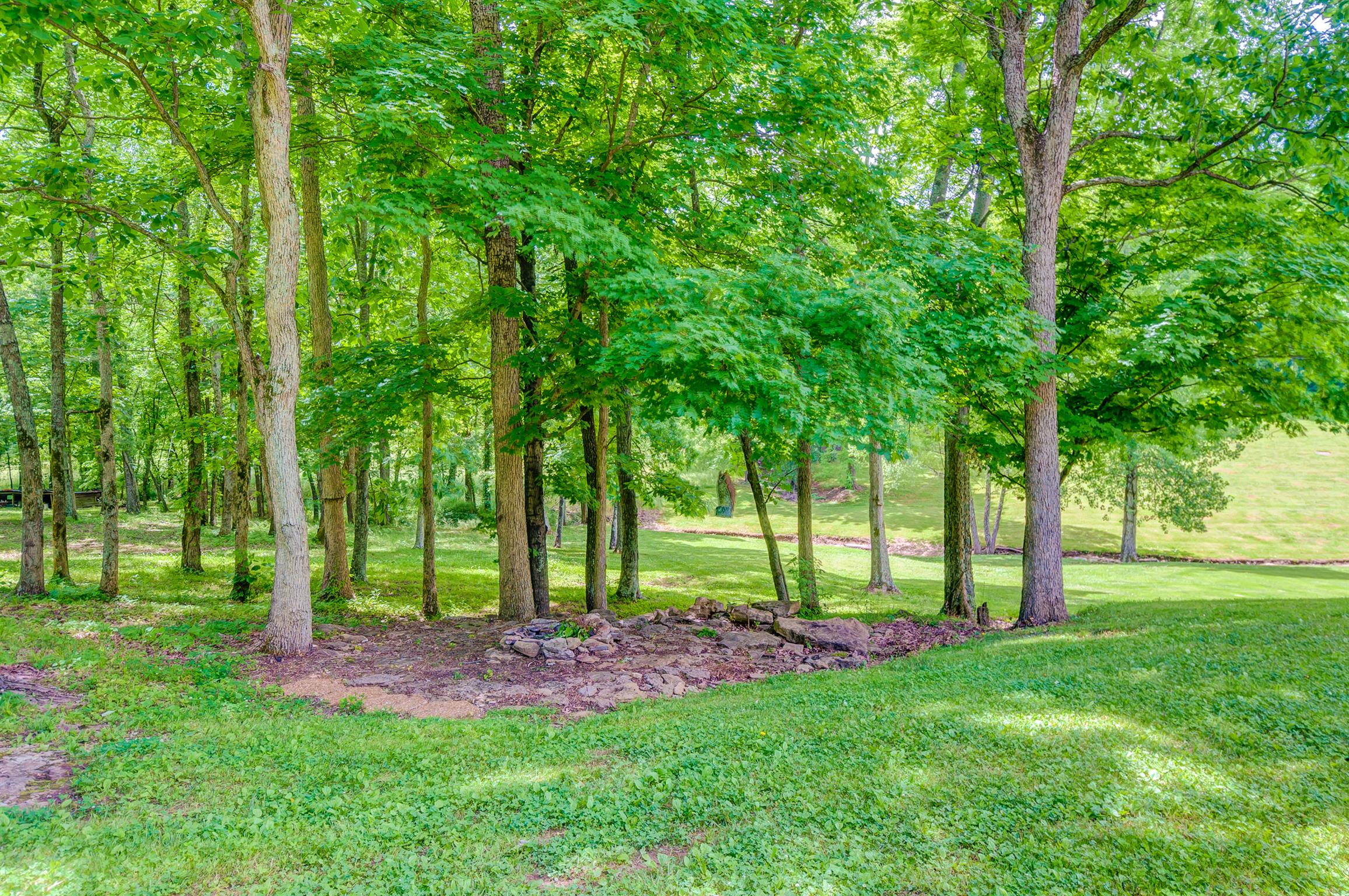 3520 Cecil Farm Road Mount Pleasant, TN 38474 - Photo 18 of 24 Gallery Image 18
