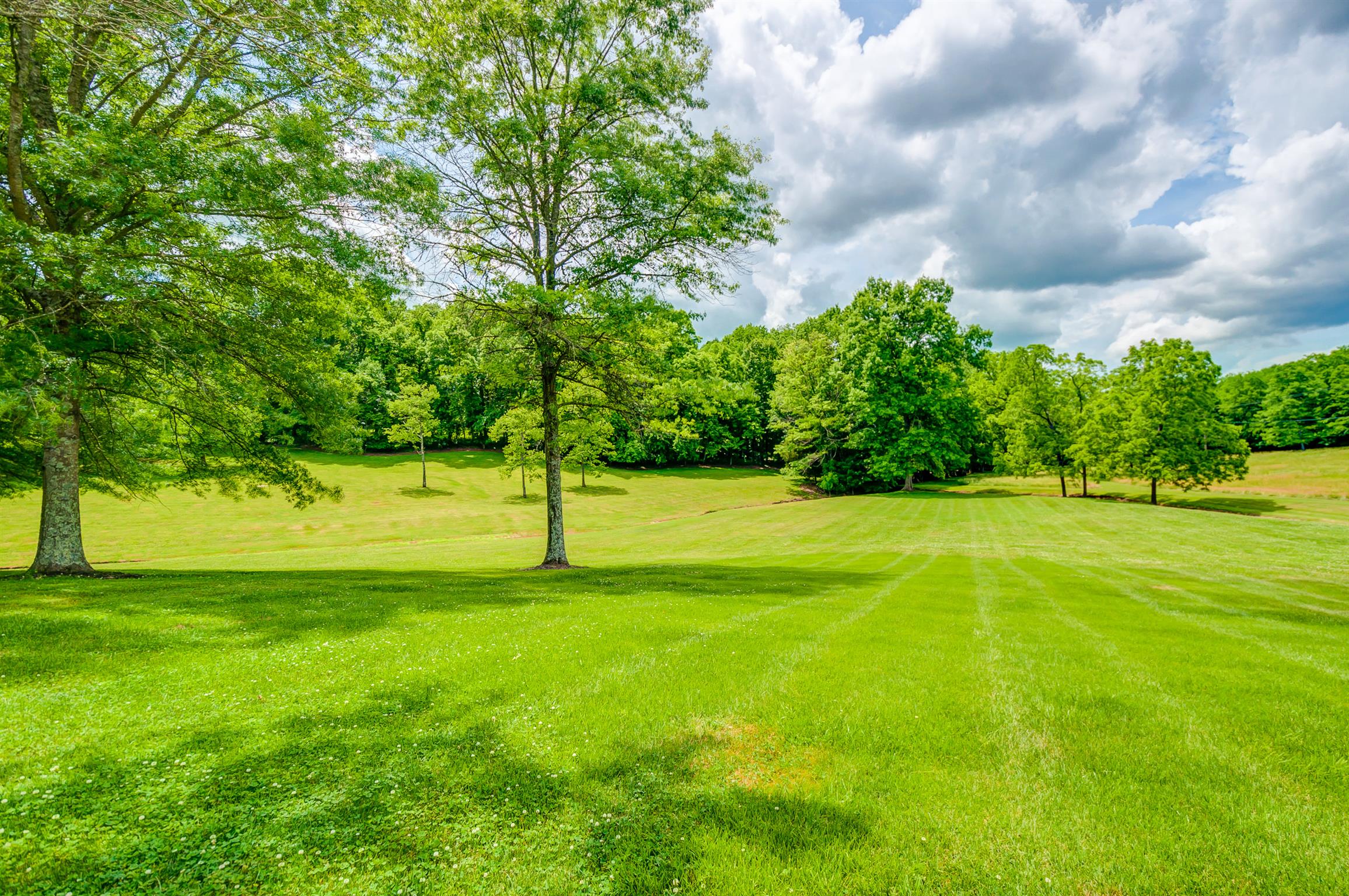 3520 Cecil Farm Road Mount Pleasant, TN 38474 - Photo 2 of 24 Gallery Image 2