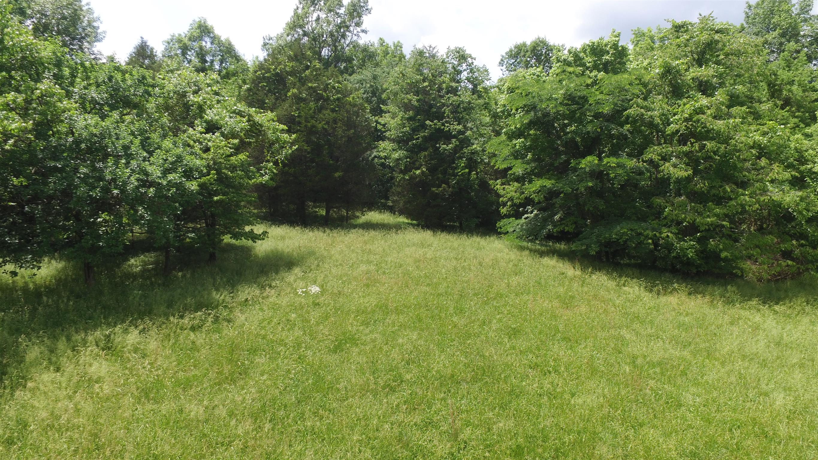 3520 Cecil Farm Road Mount Pleasant, TN 38474 - Photo 21 of 24 Gallery Image 21