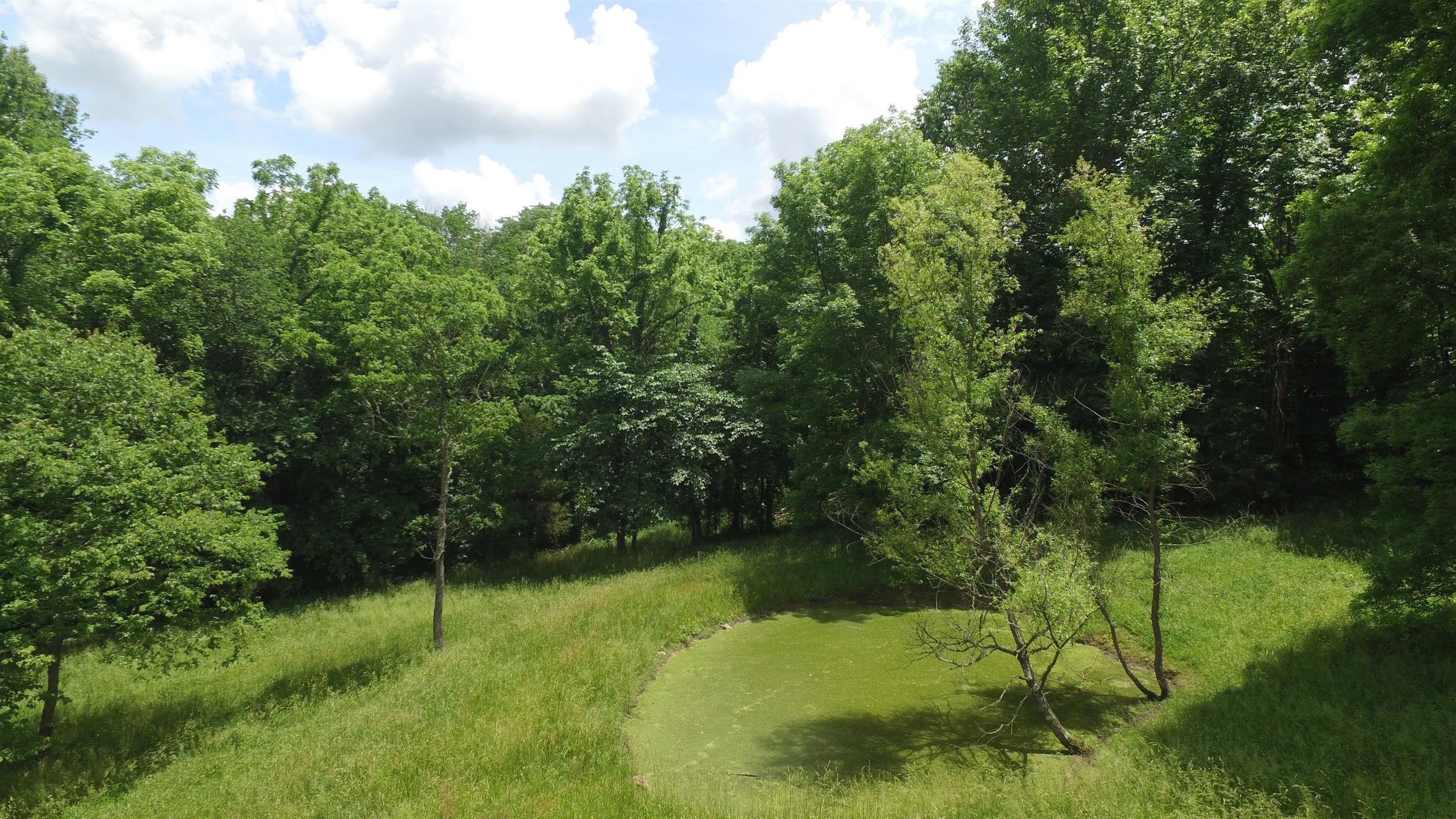 3520 Cecil Farm Road Mount Pleasant, TN 38474 - Photo 22 of 24 Gallery Image 22
