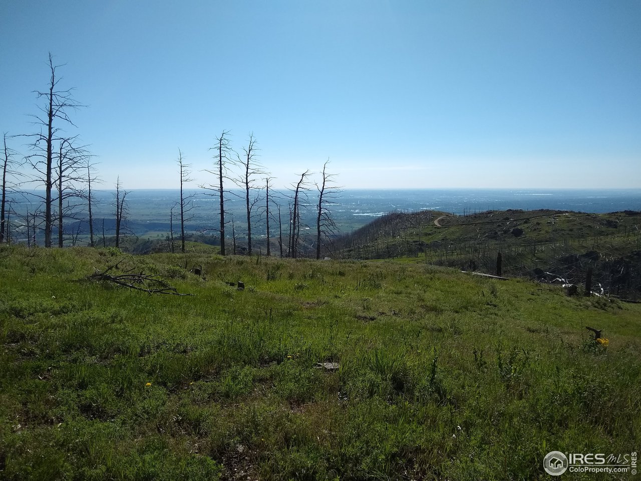 1600 Whale Rock Road Bellvue, CO 80512 - Photo 1 of 26 Views, Views, Views