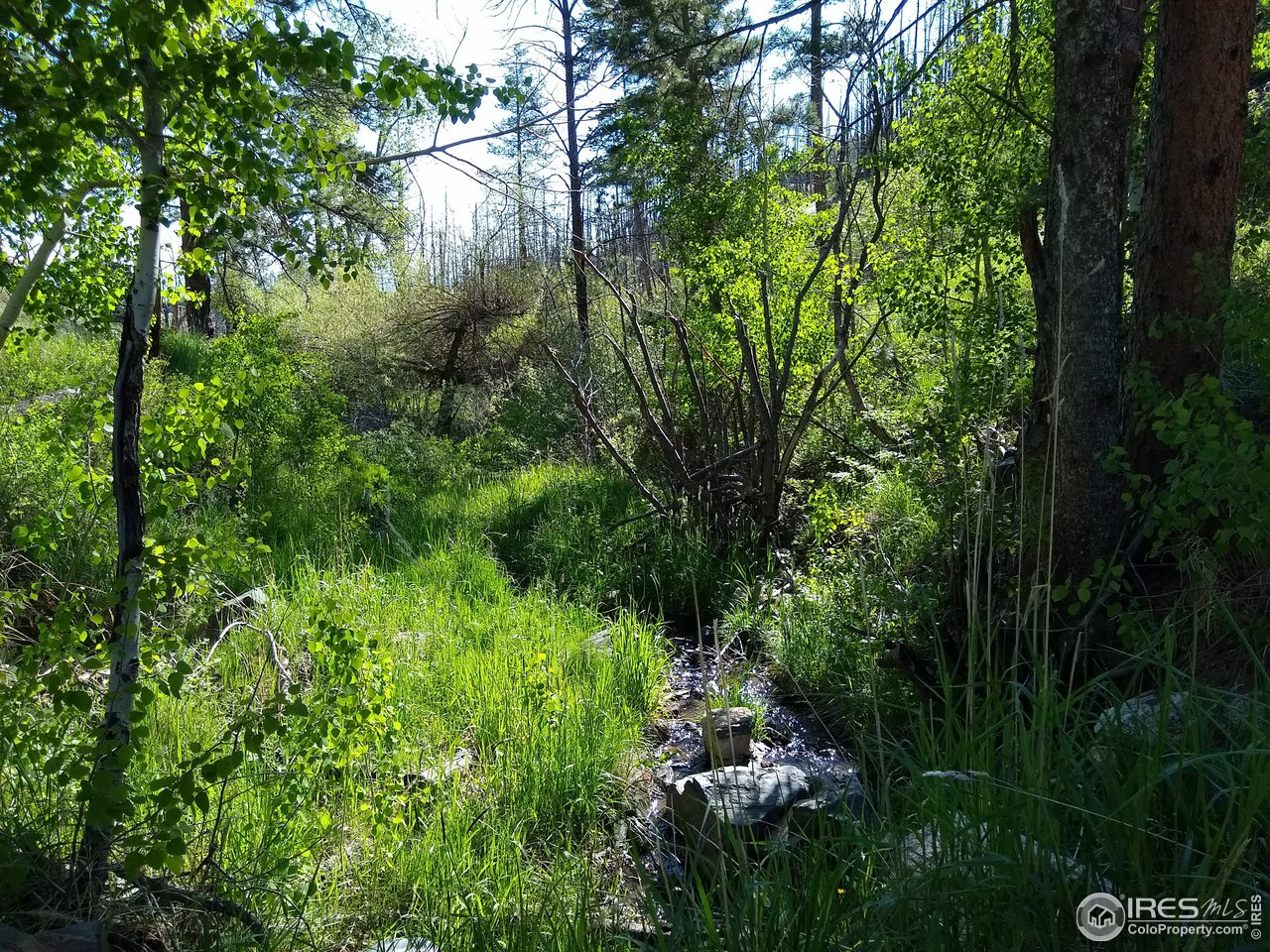 1600 Whale Rock Road Bellvue, CO 80512 - Photo 11 of 26
