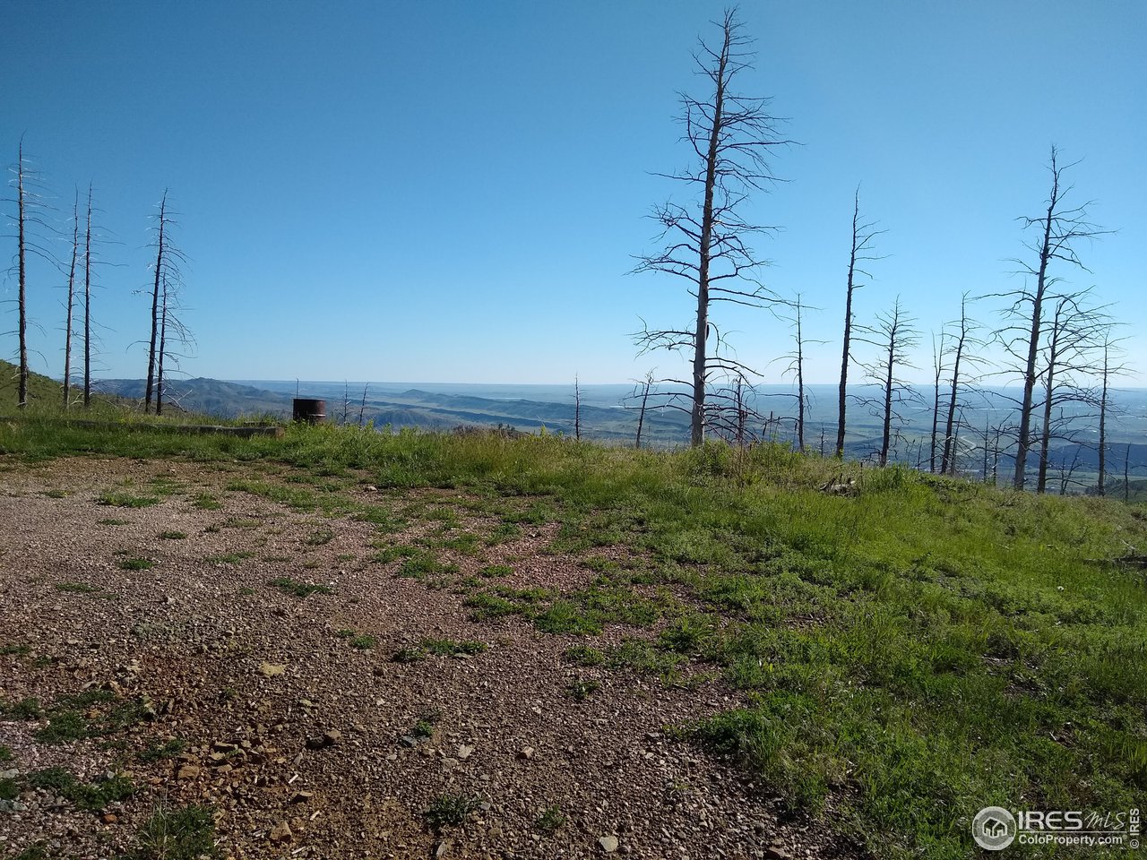 1600 Whale Rock Road Bellvue, CO 80512 - Photo 12 of 26