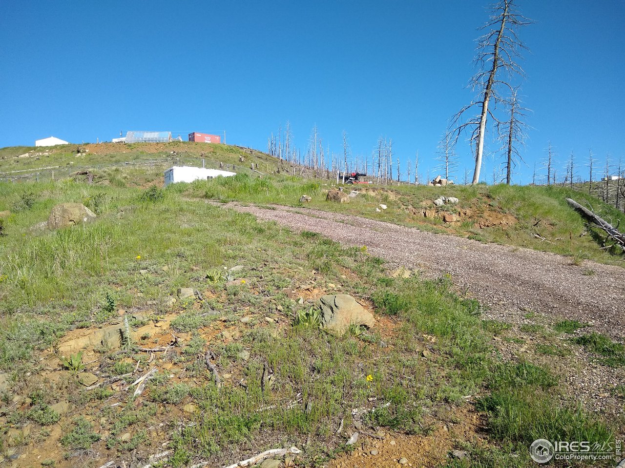 1600 Whale Rock Road Bellvue, CO 80512 - Photo 13 of 26