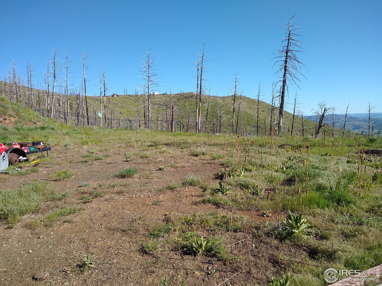 1600 Whale Rock Road Bellvue, CO 80512 - Photo 14 of 26