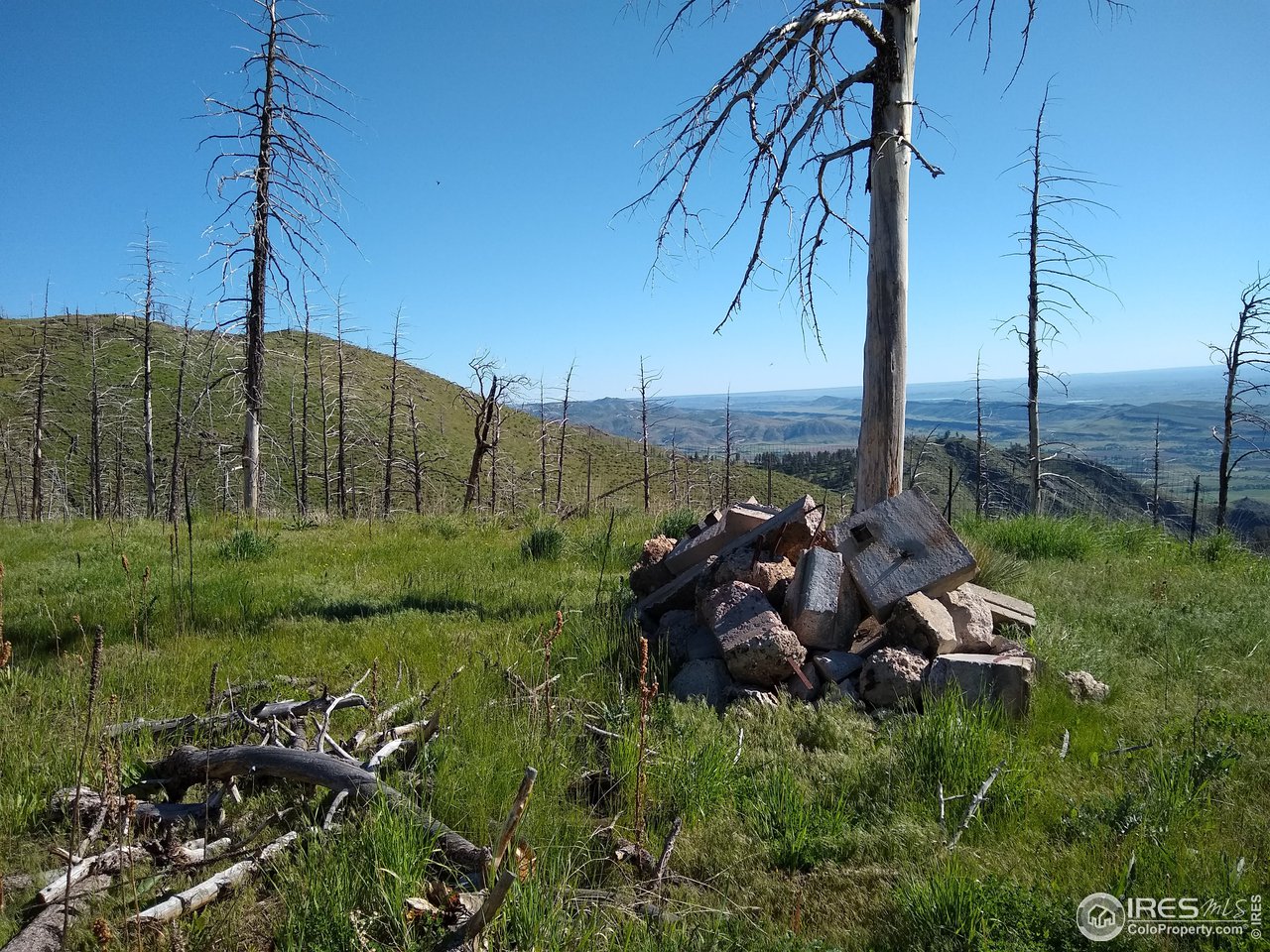 1600 Whale Rock Road Bellvue, CO 80512 - Photo 16 of 26